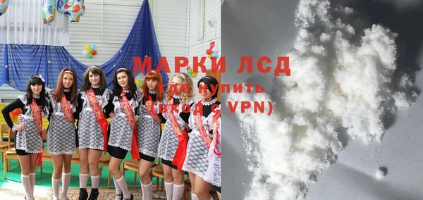 сатива Бронницы